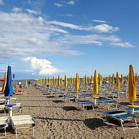 Bright And Airy With Garden View ליגננו סביאדורו